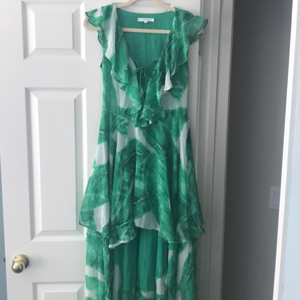 Sheer Palm dress NWOT- never worn